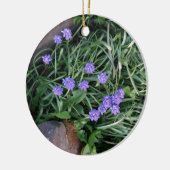 gewone druif, blauwe paarse bloem, bloem keramisch ornament (Links)
