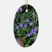 gewone druif, blauwe paarse bloem, bloem keramisch ornament (Rechts)