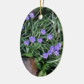 gewone druif, blauwe paarse bloem, bloem keramisch ornament (Links)