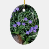 gewone druif, blauwe paarse bloem, bloem keramisch ornament (Voorkant)