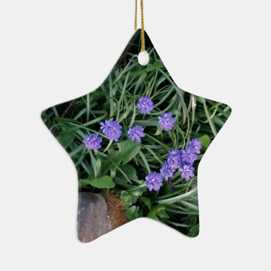 gewone druif, blauwe paarse bloem, bloem keramisch ornament (Rechts)