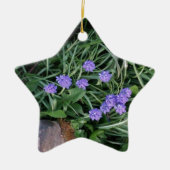 gewone druif, blauwe paarse bloem, bloem keramisch ornament (Voorkant)