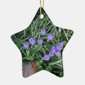 gewone druif, blauwe paarse bloem, bloem keramisch ornament (Links)
