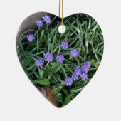 gewone druif, blauwe paarse bloem, bloem keramisch ornament (Rechts)