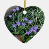 gewone druif, blauwe paarse bloem, bloem keramisch ornament (Voorkant)