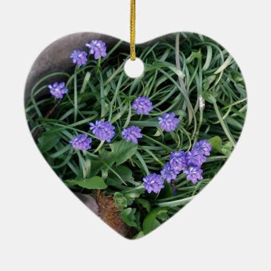 gewone druif, blauwe paarse bloem, bloem keramisch ornament (Achterkant)