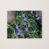 gewone druif, blauwe paarse bloem, bloem legpuzzel (Horizontaal)