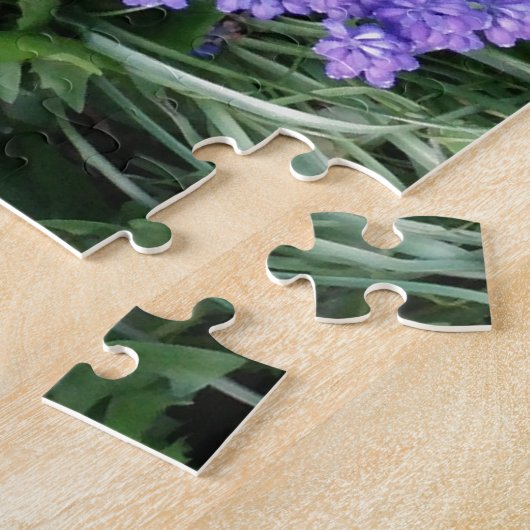 gewone druif, blauwe paarse bloem, bloem legpuzzel (Zijkant)