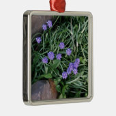 gewone druif, blauwe paarse bloem, bloem metalen ornament (Rechts)