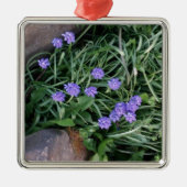 gewone druif, blauwe paarse bloem, bloem metalen ornament (Voorkant)