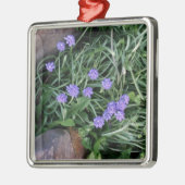 gewone druif, blauwe paarse bloem, bloem metalen ornament (Links)