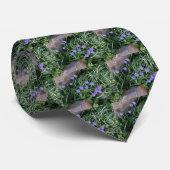 gewone druif, blauwe paarse bloem, bloem stropdas (Opgerold)