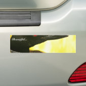 Gewone duiker bumpersticker (Op auto)