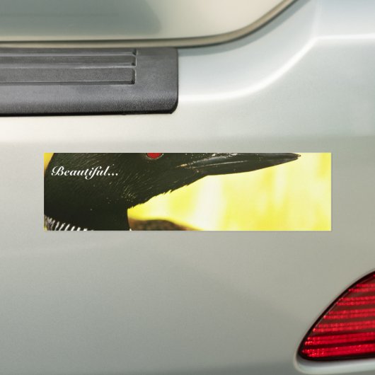 Gewone duiker bumpersticker (Op auto)