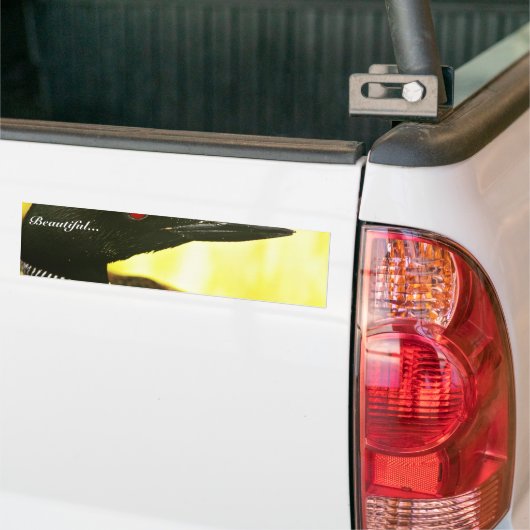 Gewone duiker bumpersticker (Op Truck)