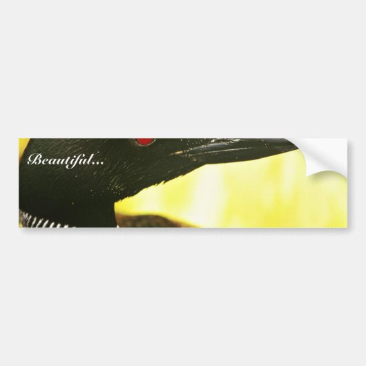 Gewone duiker bumpersticker (Voorkant)