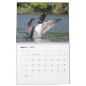 Gewone Duikereendkalender 2026 Kalender (Feb 2027)