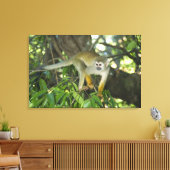 Gewone Eekhoornaap, (Saimiri sciureus), Rio Canvas Afdruk (Insitu (Woonkamer))