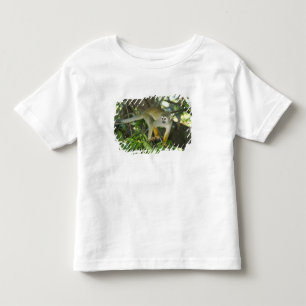 Gewone Eekhoornaap, (Saimiri sciureus), Rio Kinder Shirts