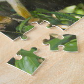 Gewone Eekhoornaap, (Saimiri sciureus), Rio Legpuzzel (Zijkant)