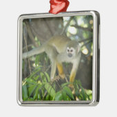 Gewone Eekhoornaap, (Saimiri sciureus), Rio Metalen Ornament (Links)