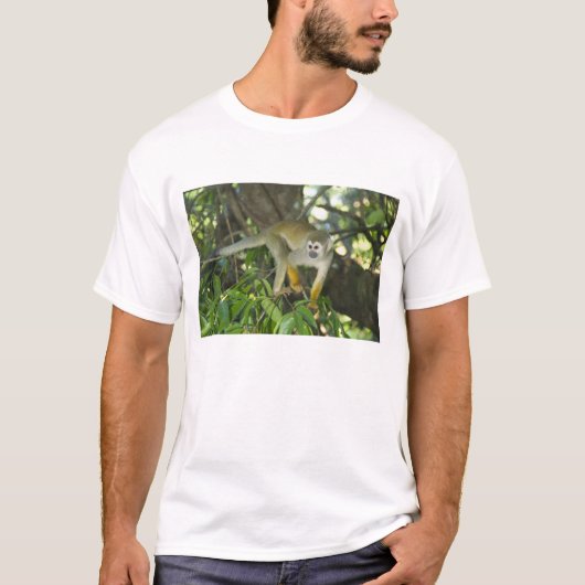 Gewone Eekhoornaap, (Saimiri sciureus), Rio T-shirt (Voorkant)