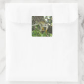 Gewone Eekhoornaap, (Saimiri sciureus), Rio Vierkante Sticker (Tas)