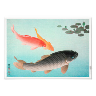 Gewone en Gouden Karper   Ohara Koson   Foto Afdruk