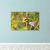 Gewone Geelkeel (Geothlypis trichas) mannetje, Canvas Afdruk (Insitu (Houten vloer))