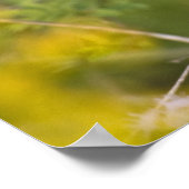 Gewone Geelkeel (Geothlypis trichas) mannetje, Poster (Hoek)