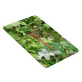 Gewone Glazenmaker Flexi Magneet (Rechterzijde)