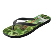 Gewone Glazenmaker Libel Flip Flops (Schuin)