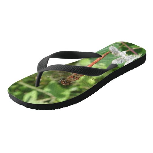 Gewone Glazenmaker Libel Flip Flops (Schuin)