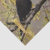 Gewone grackle voorjaarsbloesems katjes tissuepapier (Detail)
