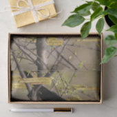 Gewone grackle voorjaarsbloesems katjes tissuepapier (Geschenk)