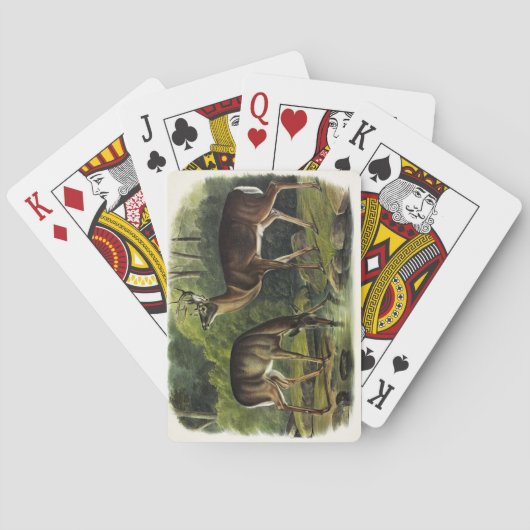Gewone hert (Witstaarthert) - Audubon's Viervoeter Pokerkaarten (Achterkant)