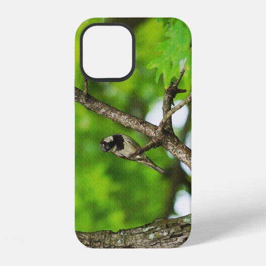 Gewone iPhone Hoes Hoesje (Achterkant)