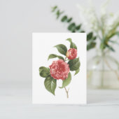 gewone kamellia (Camellia japonica) van Redouté Briefkaart (Staand voorkant)