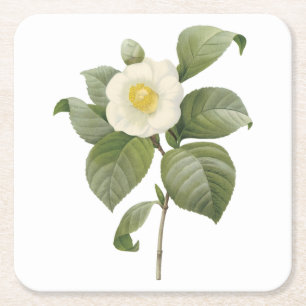 gewone kamellia (Camellia japonica) van Redouté Kartonnen Onderzetters