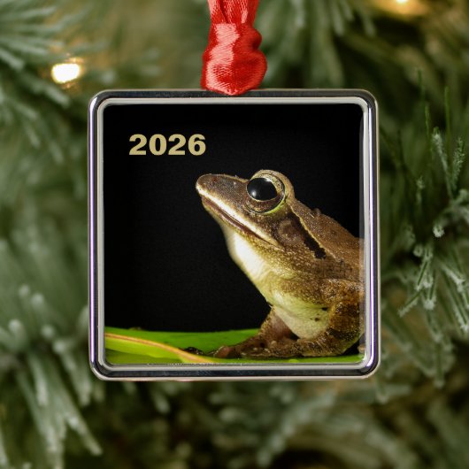 Gewone kikker op een blad metalen ornament (Boom)