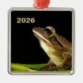 Gewone kikker op een blad metalen ornament (Voorkant)