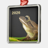 Gewone kikker op een blad metalen ornament (Links)