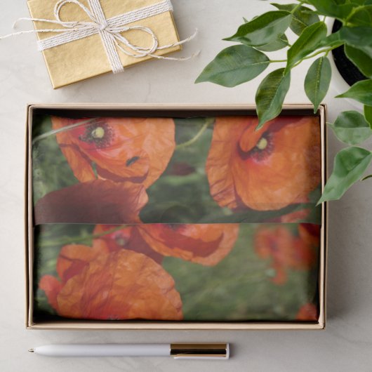 Gewone klaprozen tissuepapier (Geschenk)