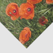 Gewone klaprozen tissuepapier (Detail)