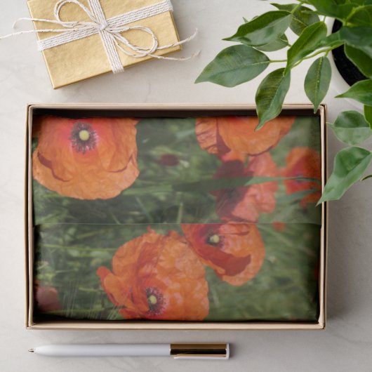 Gewone klaprozen tissuepapier (Geschenk)