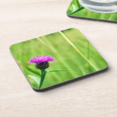 Gewone knapweed bier onderzetter (Linkerzijde)