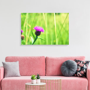 Gewone knapweed canvas afdruk