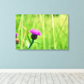 Gewone knapweed canvas afdruk (Insitu (Houten vloer))