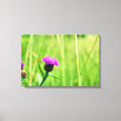 Gewone knapweed canvas afdruk (Voorkant)