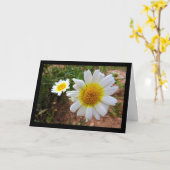Gewone Madeliefjes Kaart (Gele Bloem)